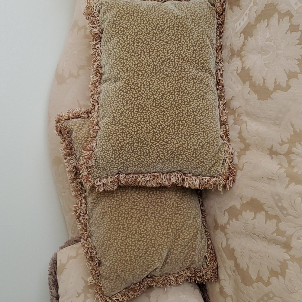 Two Plush Velvet Pillows with Fringe (From Harden Sofa)